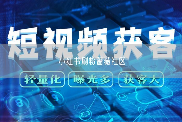 小红书刷粉蔷薇社区