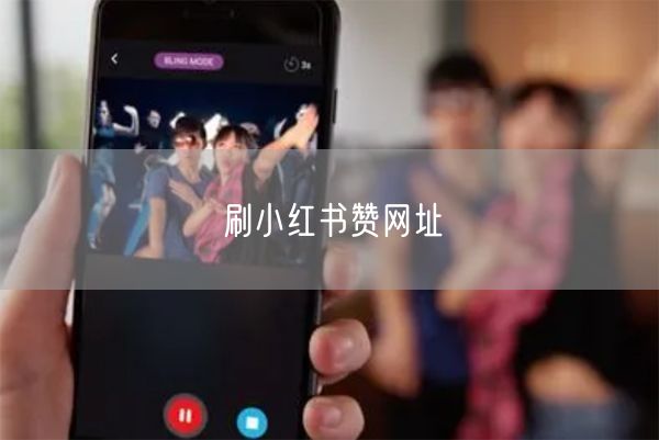 刷小红书赞网址