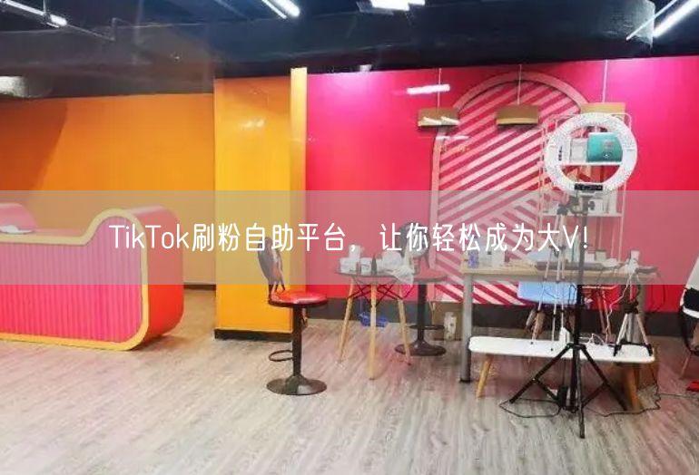 TikTok刷粉自助平台，让你轻松成为大V！