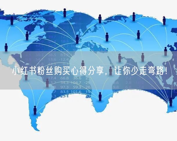 小红书粉丝购买心得分享，让你少走弯路！