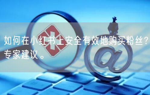 如何在小红书上安全有效地购买粉丝？专家建议。