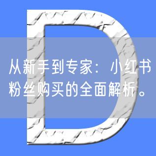 从新手到专家：小红书粉丝购买的全面解析。