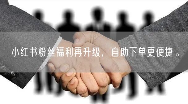 小红书粉丝福利再升级，自助下单更便捷。